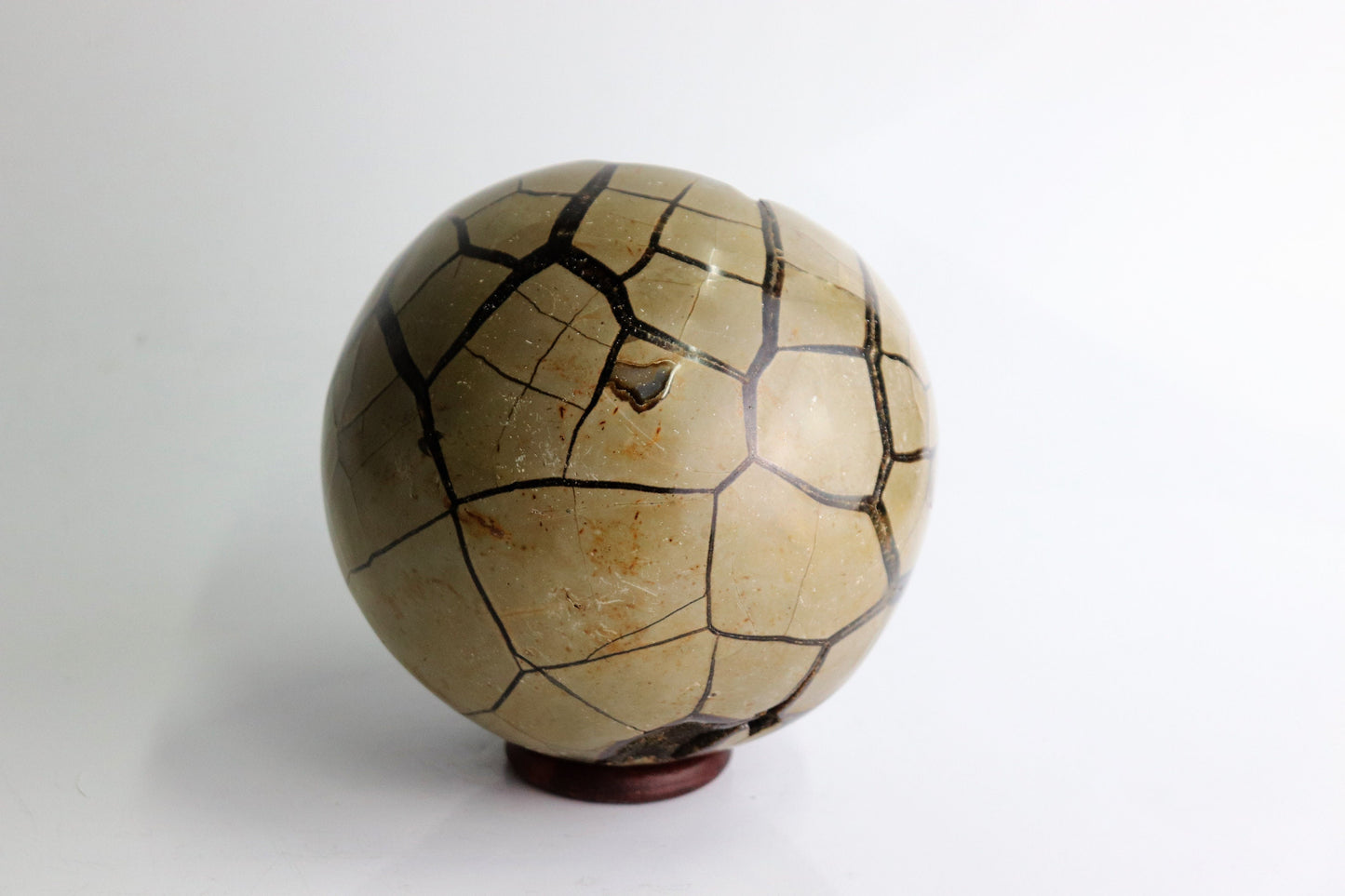 89) Large Black Septarian Crystal Sphere   5"