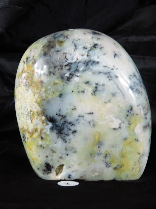 2) Merlinite Crystal Dendritic Agate Opalised Madagascar