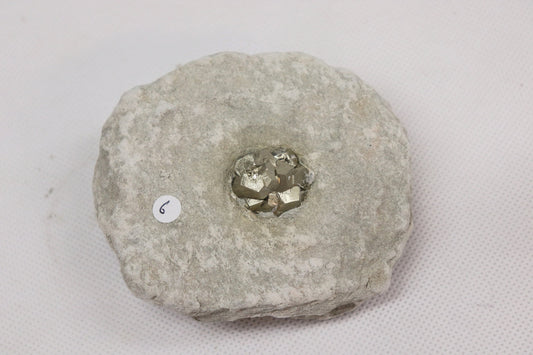 6PYB10) Pyrite cube Specimen In Original Matrix From Spain