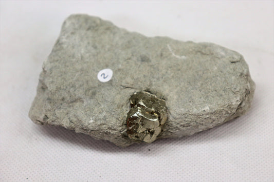 2PYB10) Pyrite cube Specimen In Original Matrix From Spain