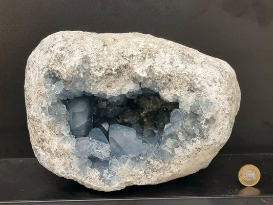 77) Extra Large Celestite Luxury Statement Crystal Geode