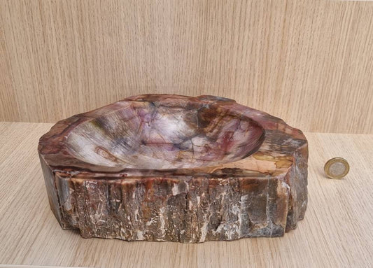 4) Large Fossil Wood Artisanal Bowl