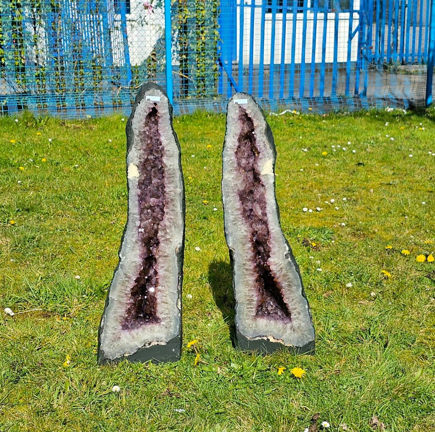 large amethyst church pair