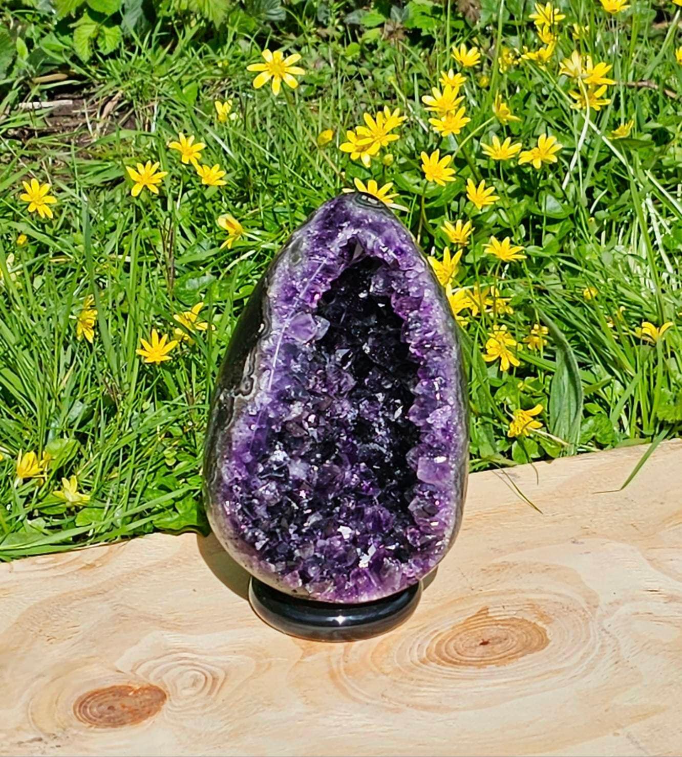 2 Large Amethyst Crystal Egg Unique Interior Display Piece Distinction Crystals