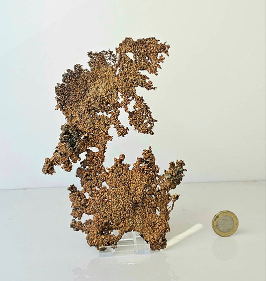 Extra Large Native Natural Copper