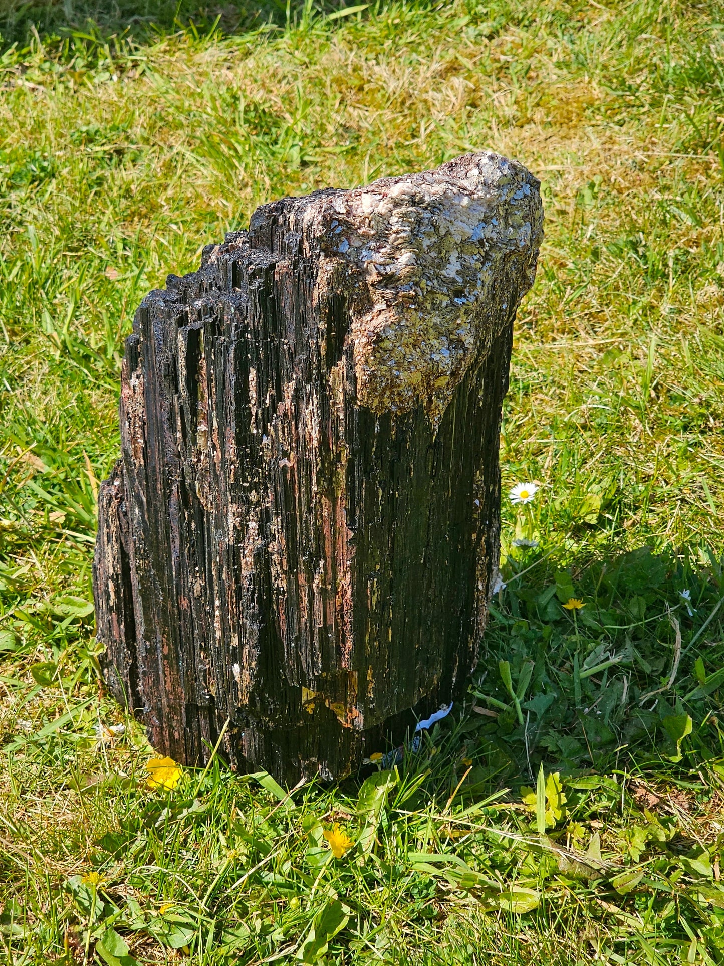 Very Large Black Tourmaline Crystal With Mica  21 KG