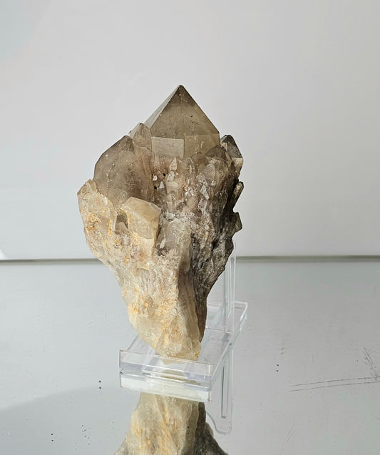 kundalini Citrine Natural Crystal (#25)