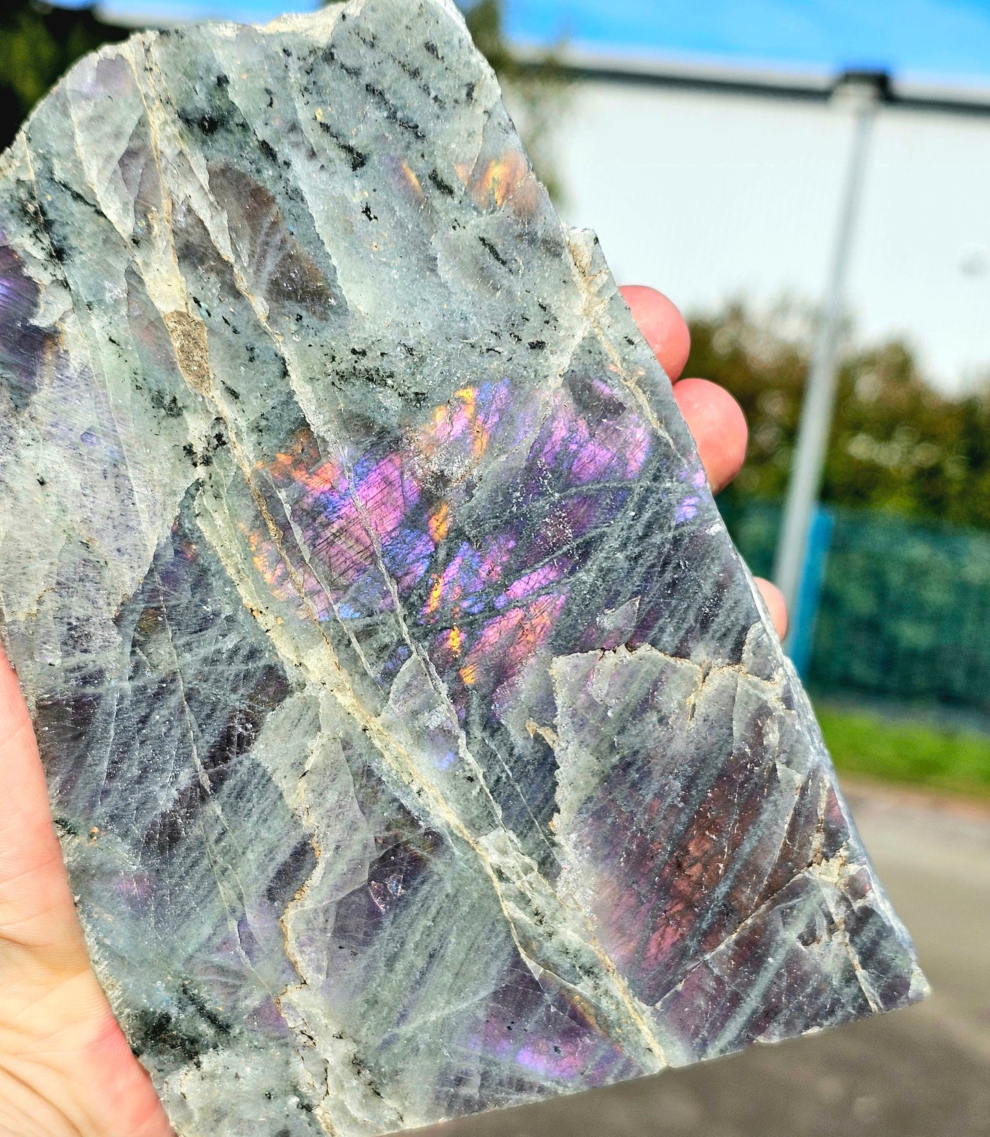 Large Purple Labradorite Crystal (#5)