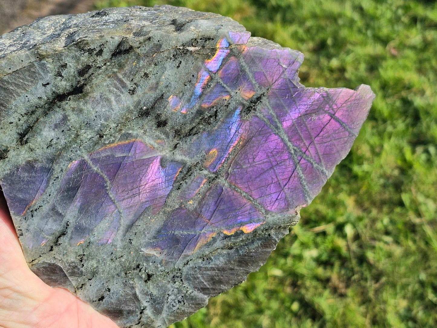 Large Purple Labradorite Crystal (#7)