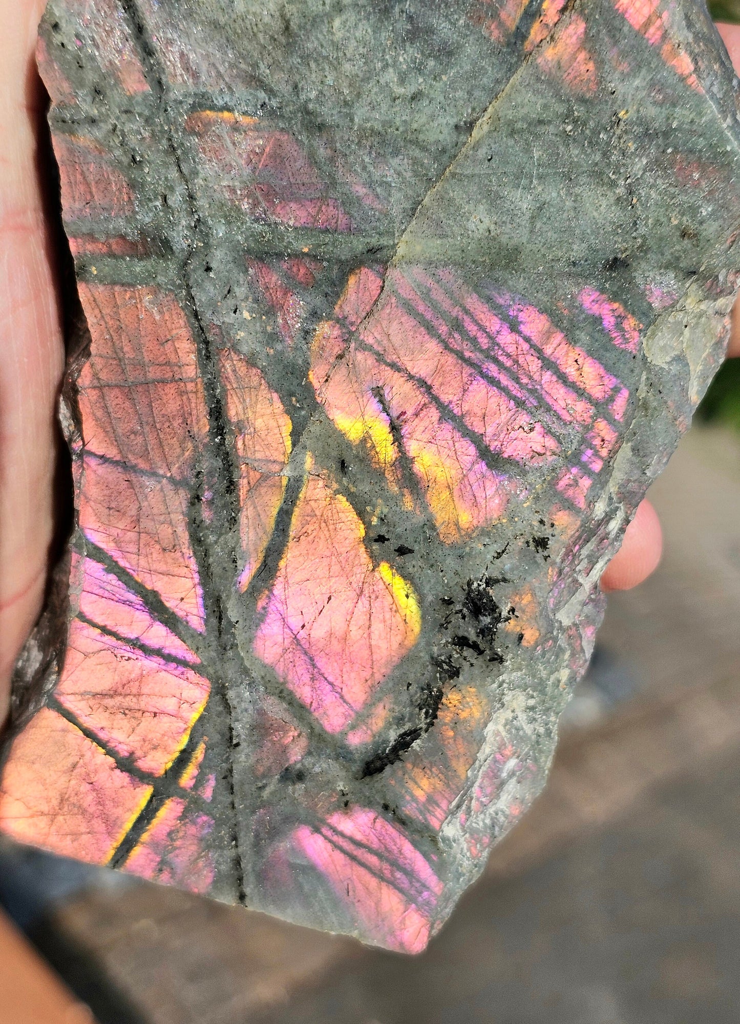 Large Purple Labradorite Crystal (#3)