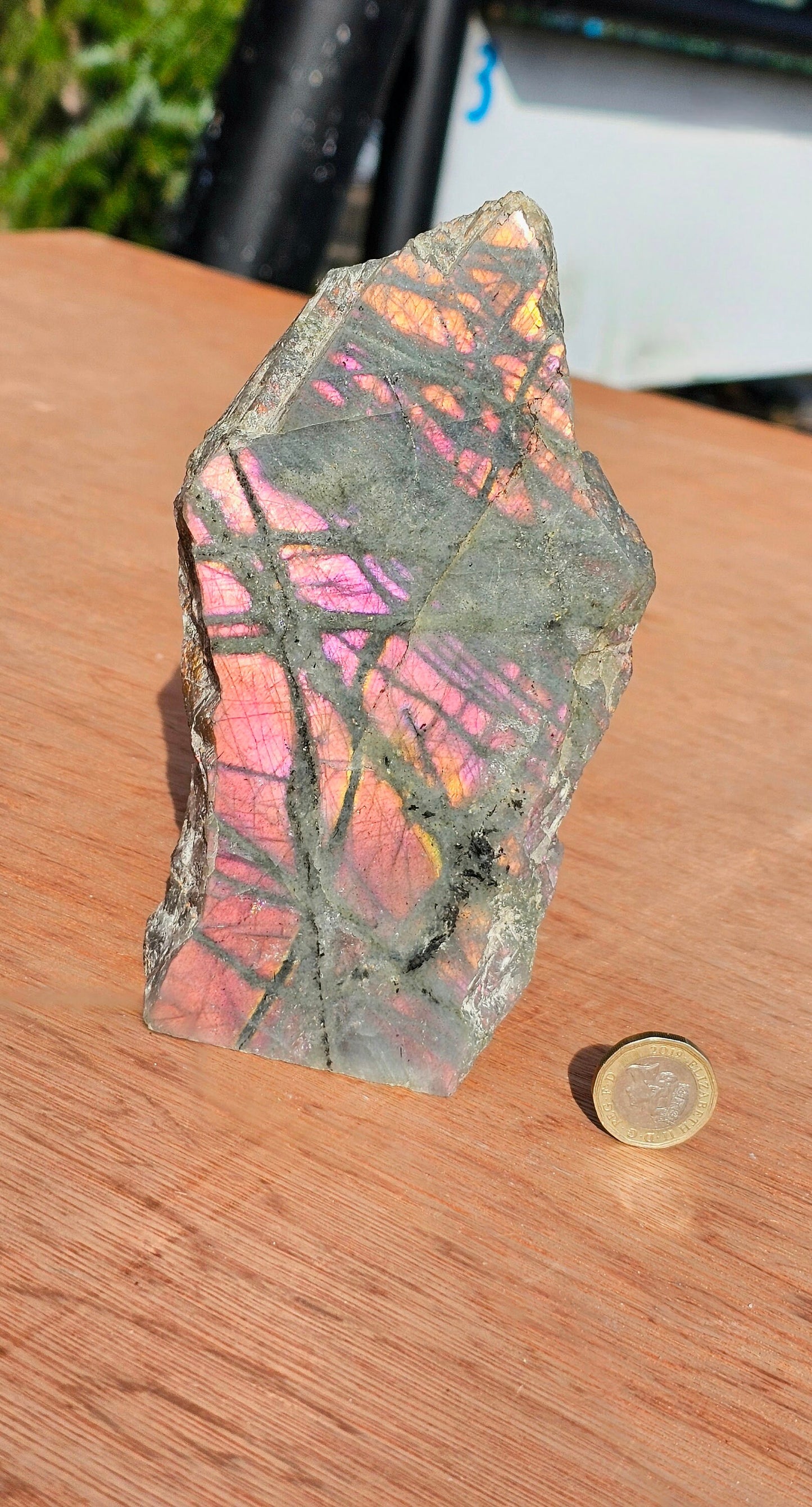 Large Purple Labradorite Crystal (#3)