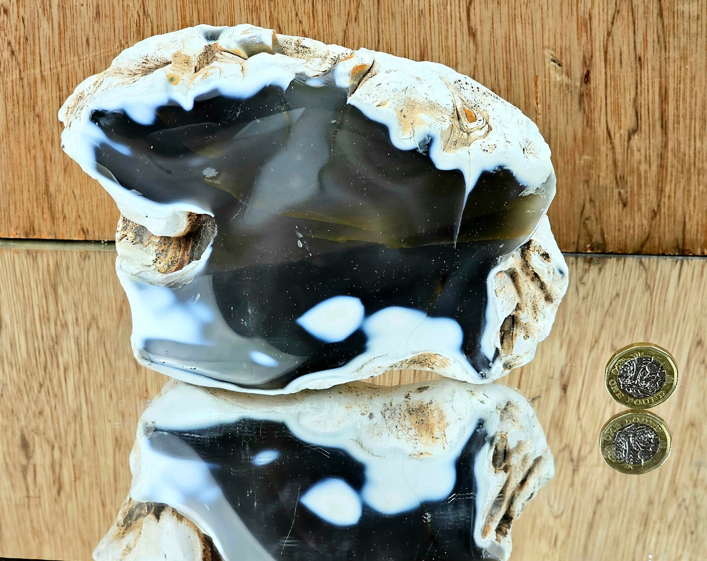 Orca Agate Crystal  (#5)