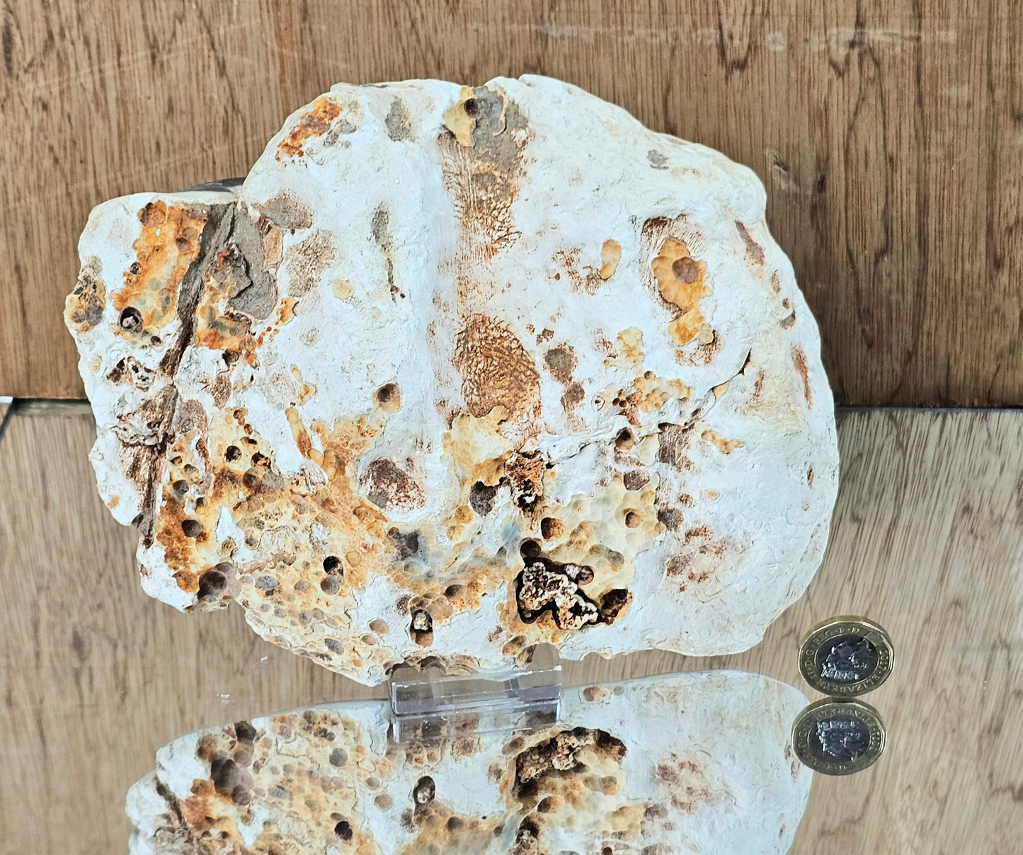 Orca Agate Crystal  (#5)