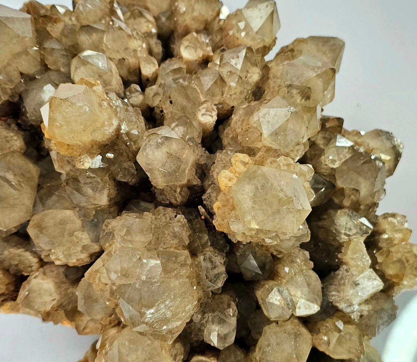 Very Large kundalini Citrine Natural Crystal (#44)