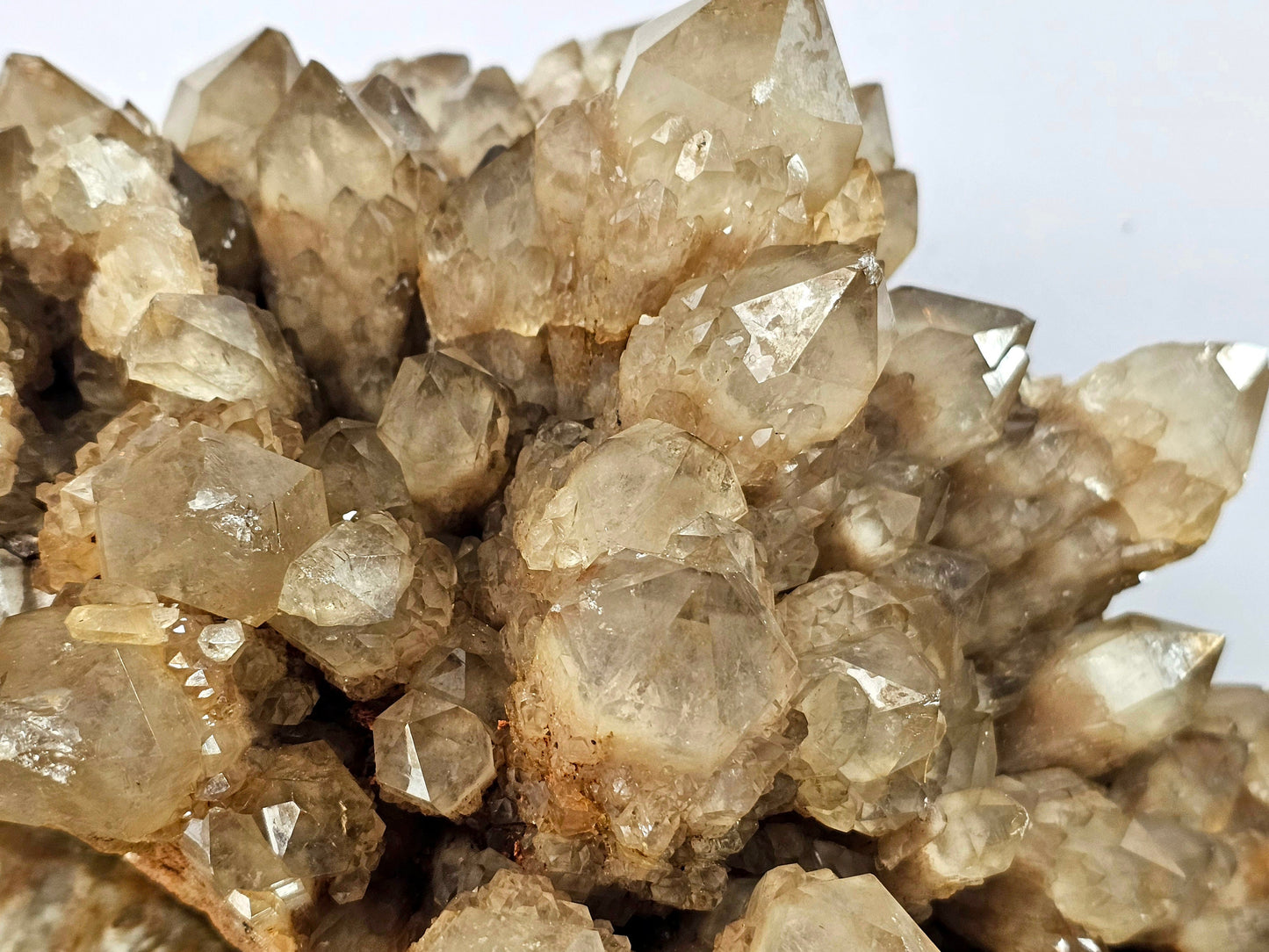 Very Large kundalini Citrine Natural Crystal (#44)