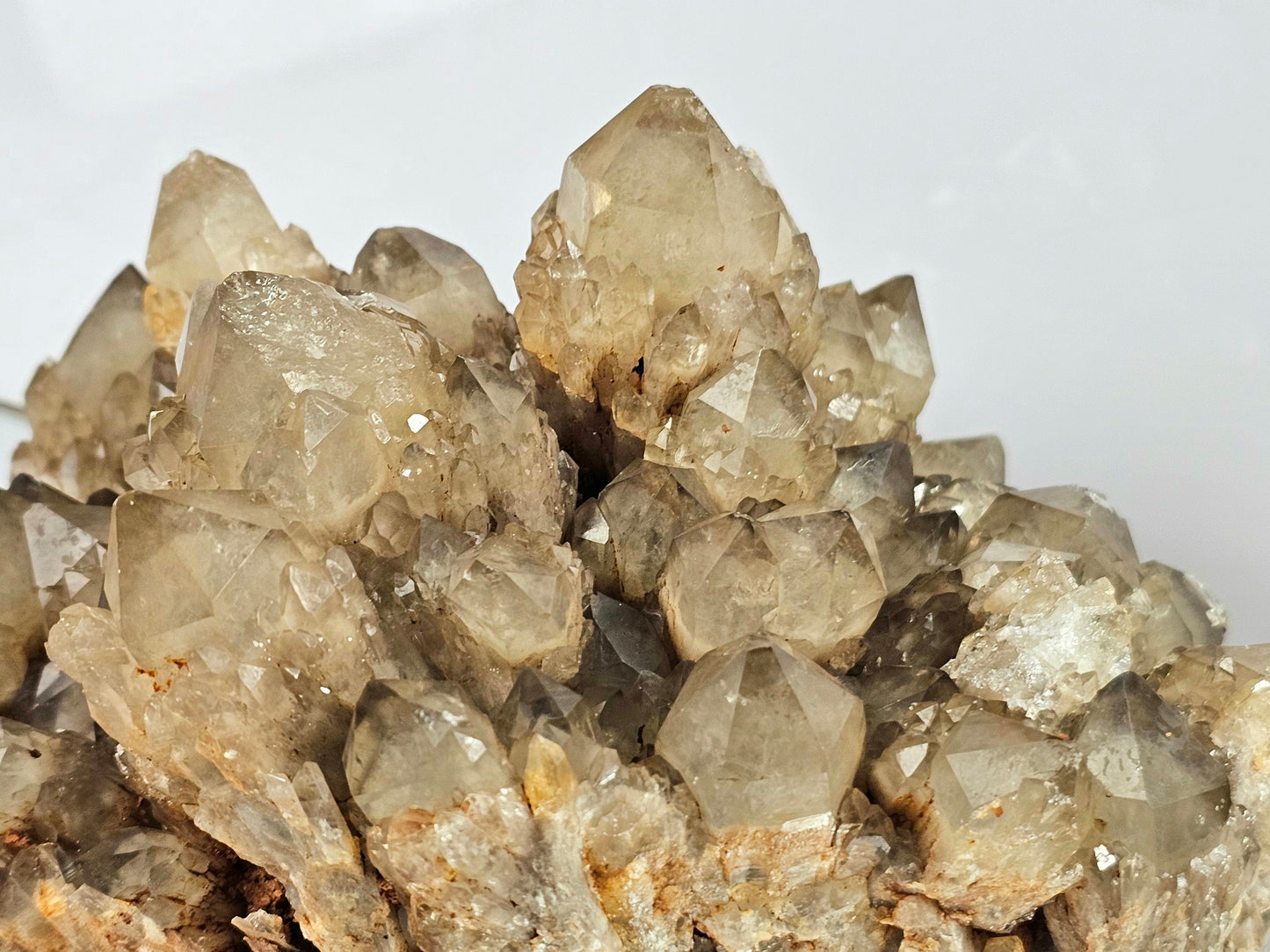 Very Large kundalini Citrine Natural Crystal (#44)