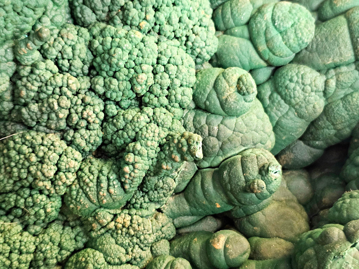 Very Large Malachite Stalactite Crystal Geode