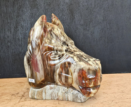 Large Horse Head Crystal Fossil Wood Carving