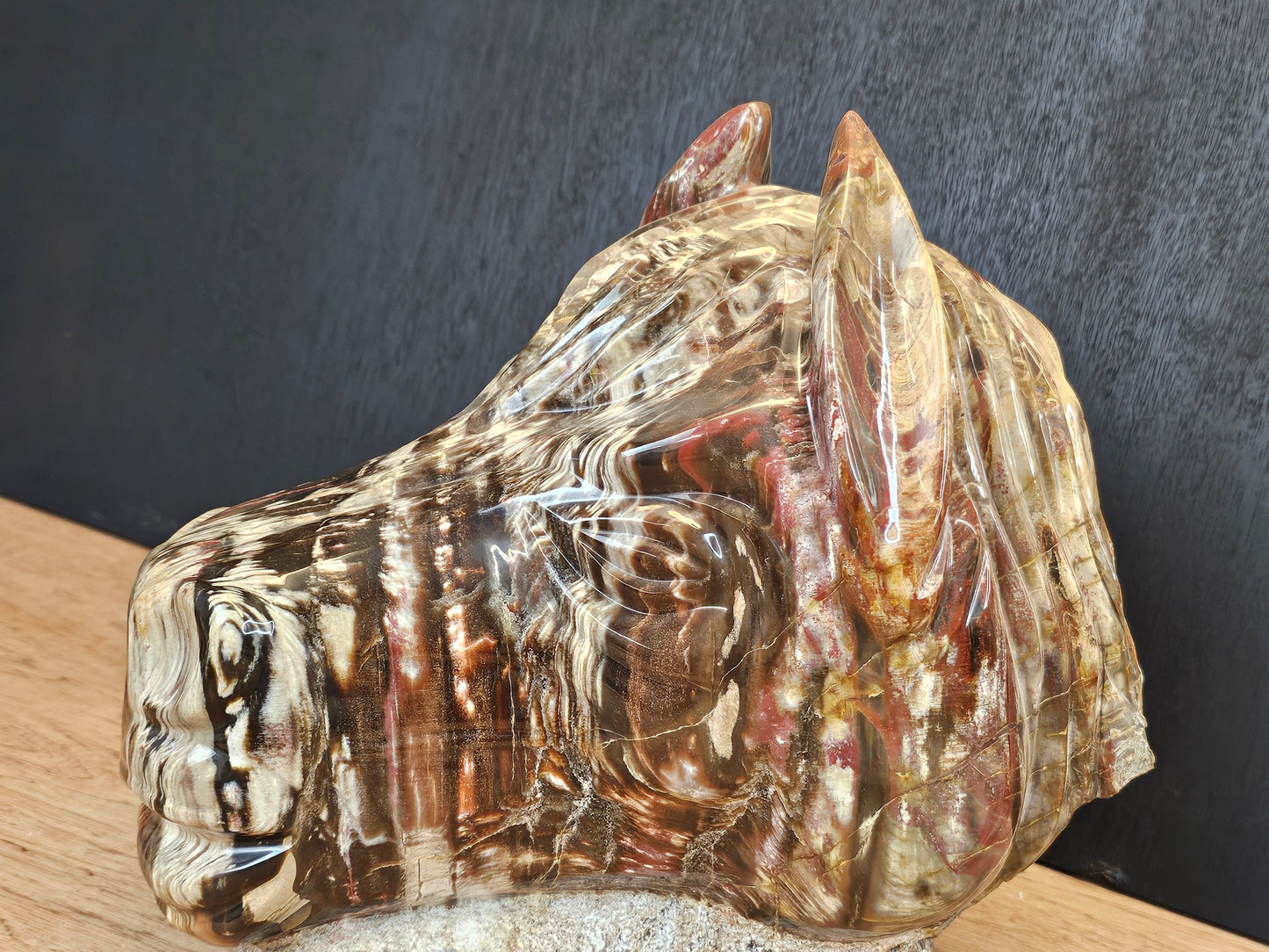 Large Horse Head Fossil Wood Carving
