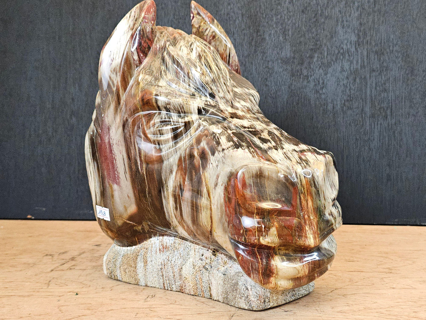 Large Horse Head Fossil Wood Carving