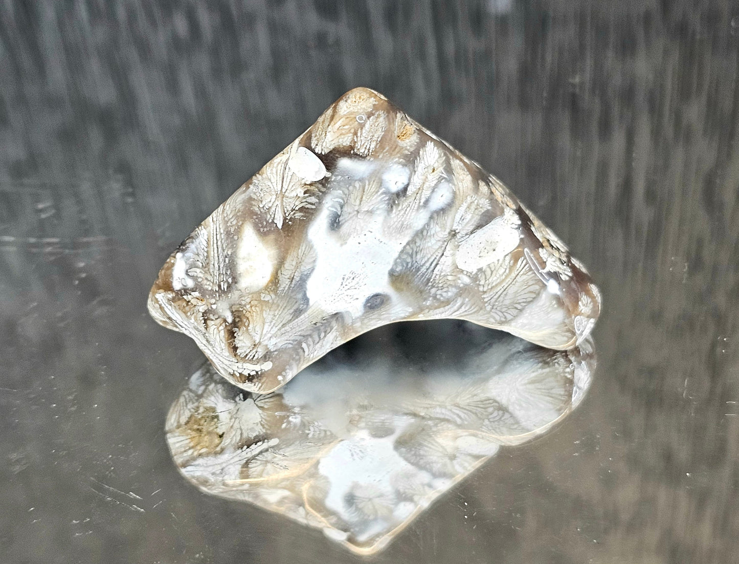 Rare Agate Coral Crystal Fossil - UK   (#10)