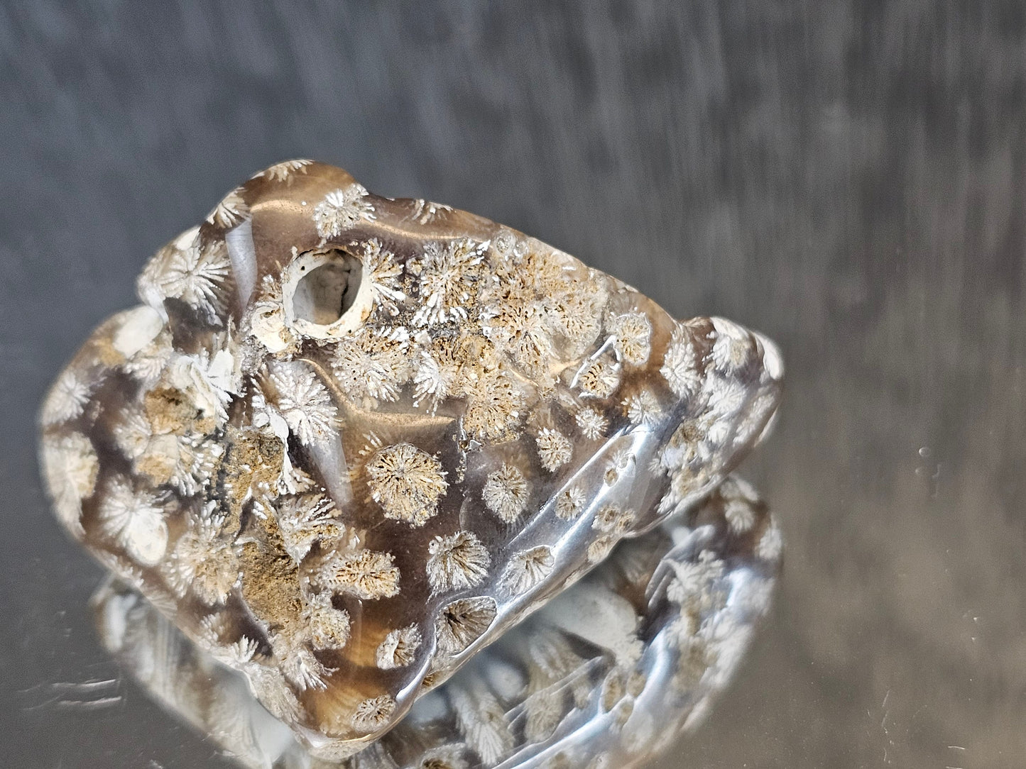 Rare Agate Coral Crystal Fossil - UK   (#10)
