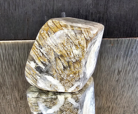 Rare Agate Coral Crystal Fossil - UK   (#6)
