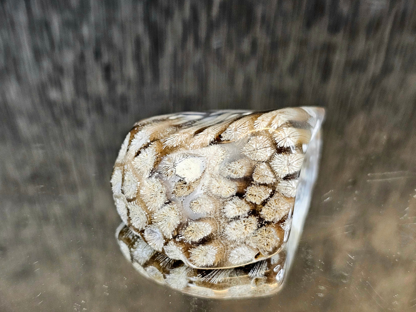 Rare Agate Coral Crystal Fossil - UK   (#5)
