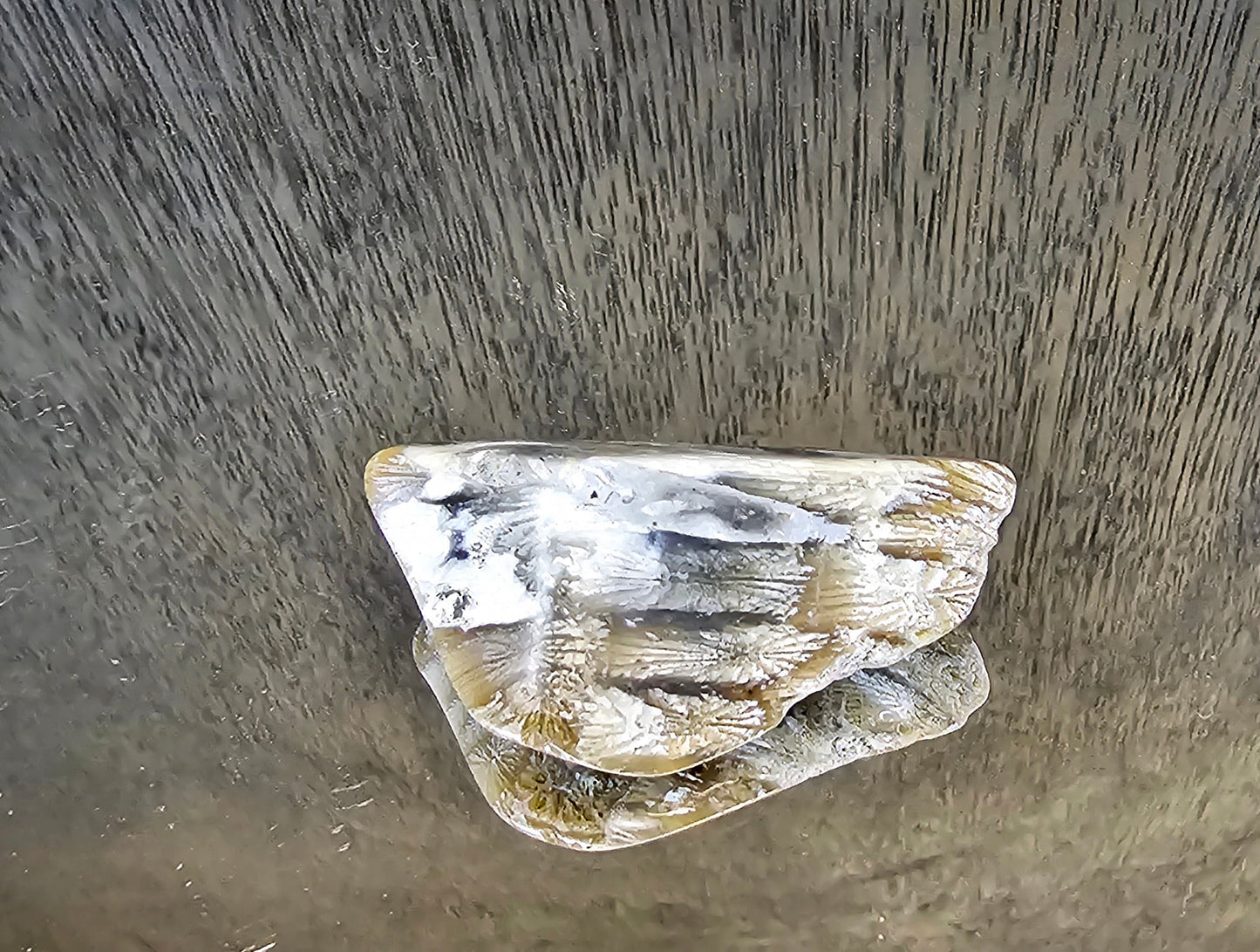 Rare Agate Coral Crystal Fossil - UK   (#7)