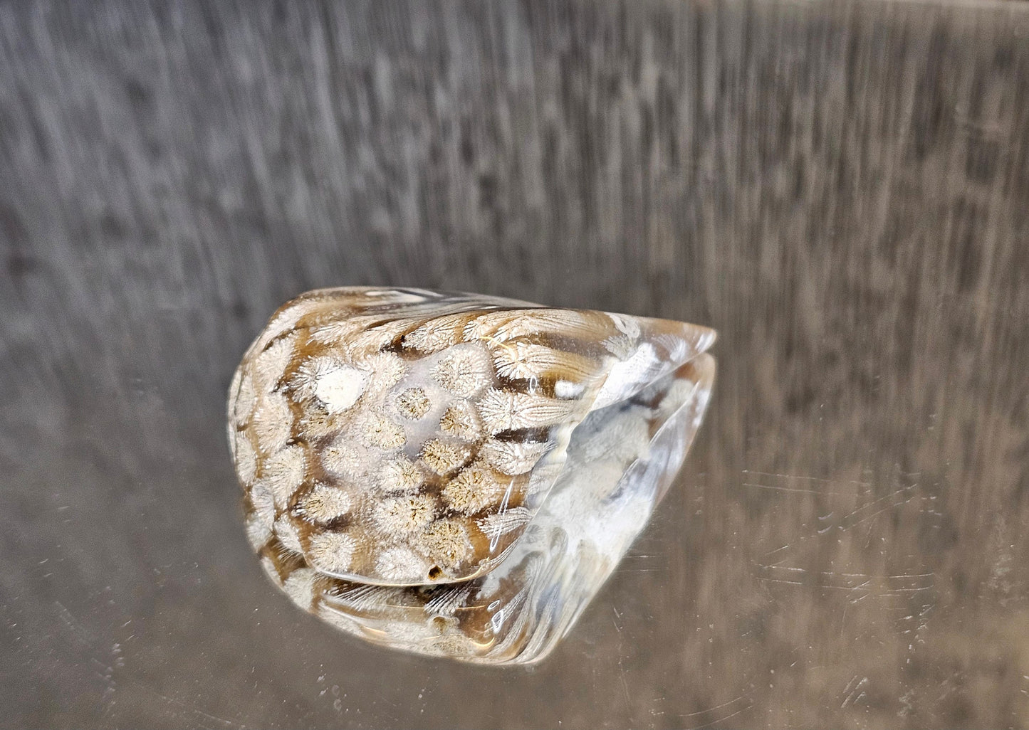 Rare Agate Coral Crystal Fossil - UK   (#5)