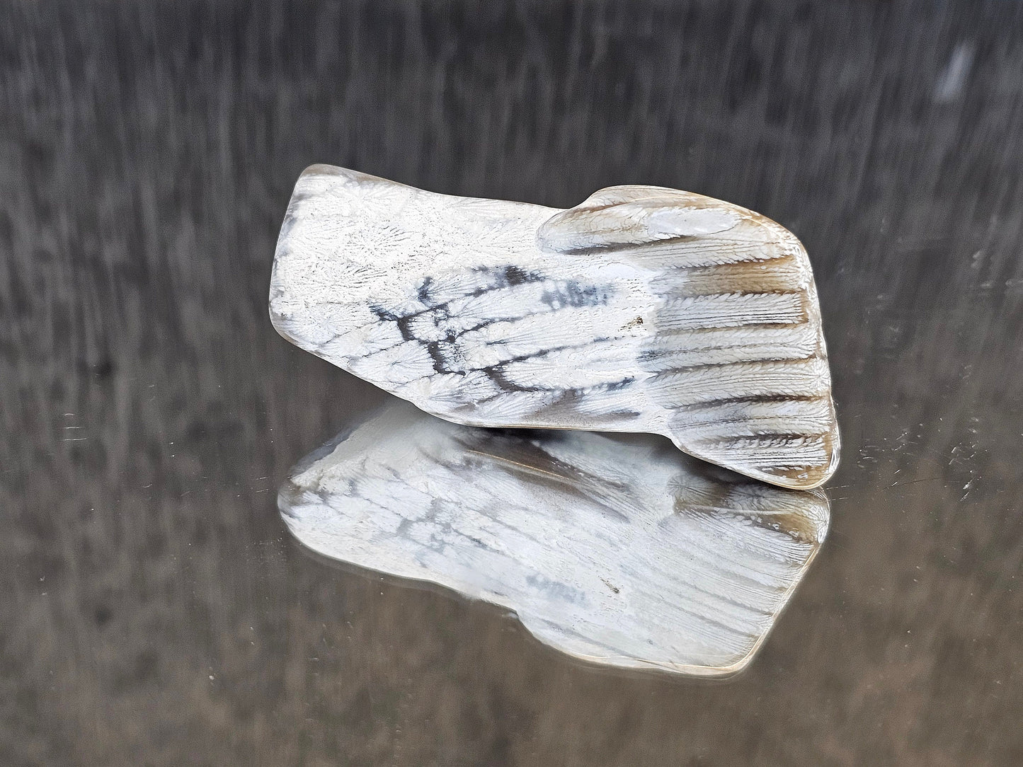Rare Agate Coral Crystal Fossil - UK   (#1)