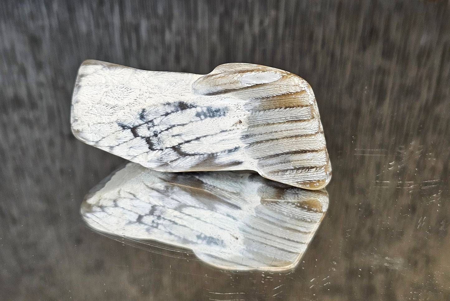 Rare Agate Coral Crystal Fossil - UK   (#1)