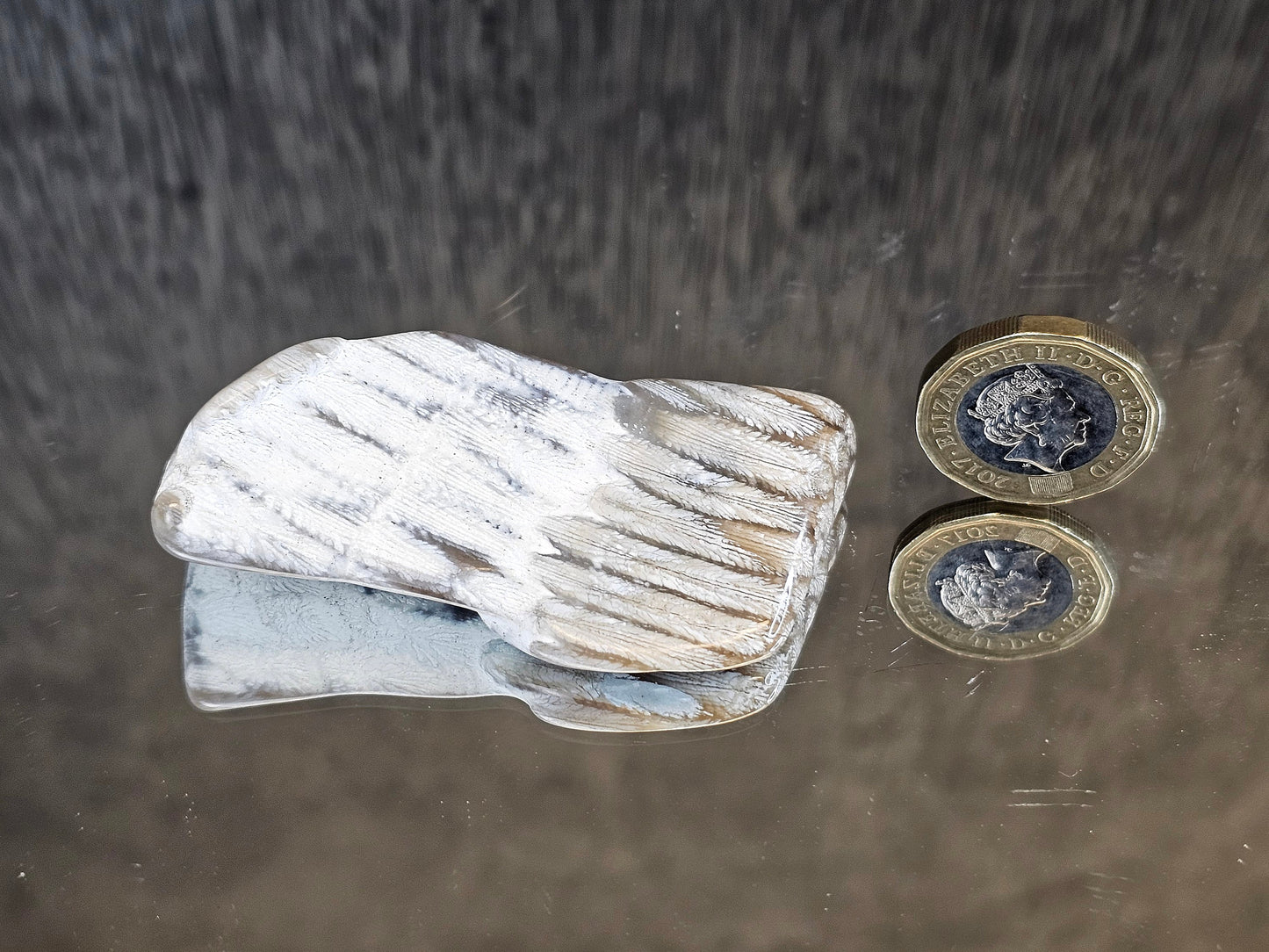 Rare Agate Coral Crystal Fossil - UK   (#1)