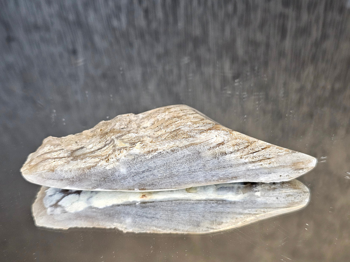Rare Agate Coral Crystal Fossil - UK   (#2)