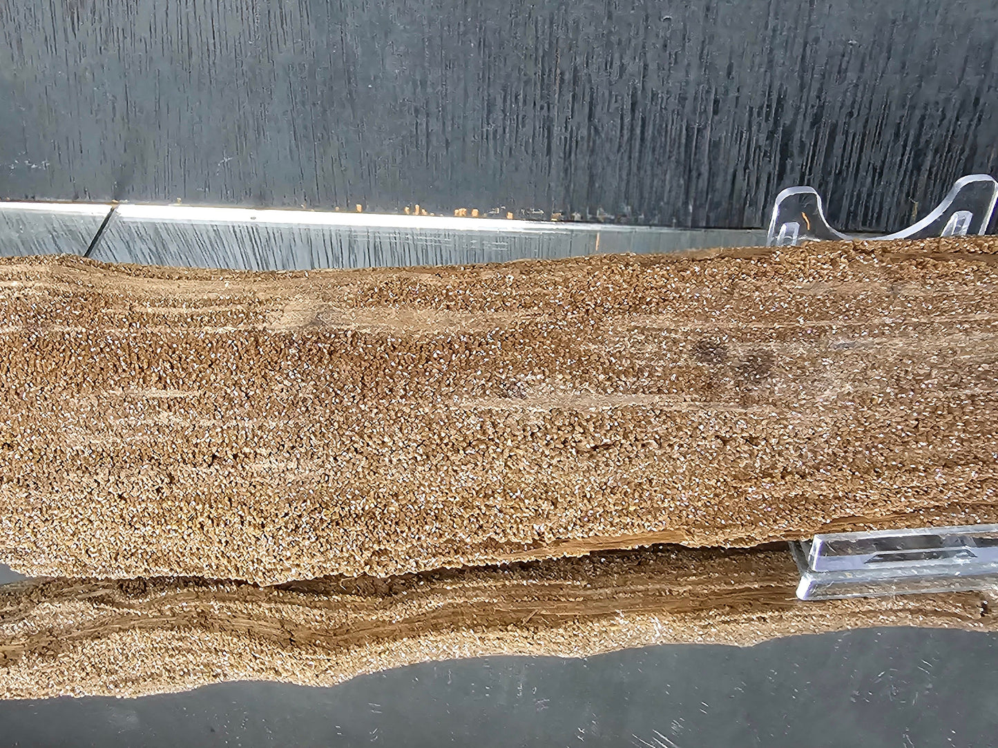 Fossil Wood Quartz Crystal Druze Rare Petrified Wood Germany (#7)