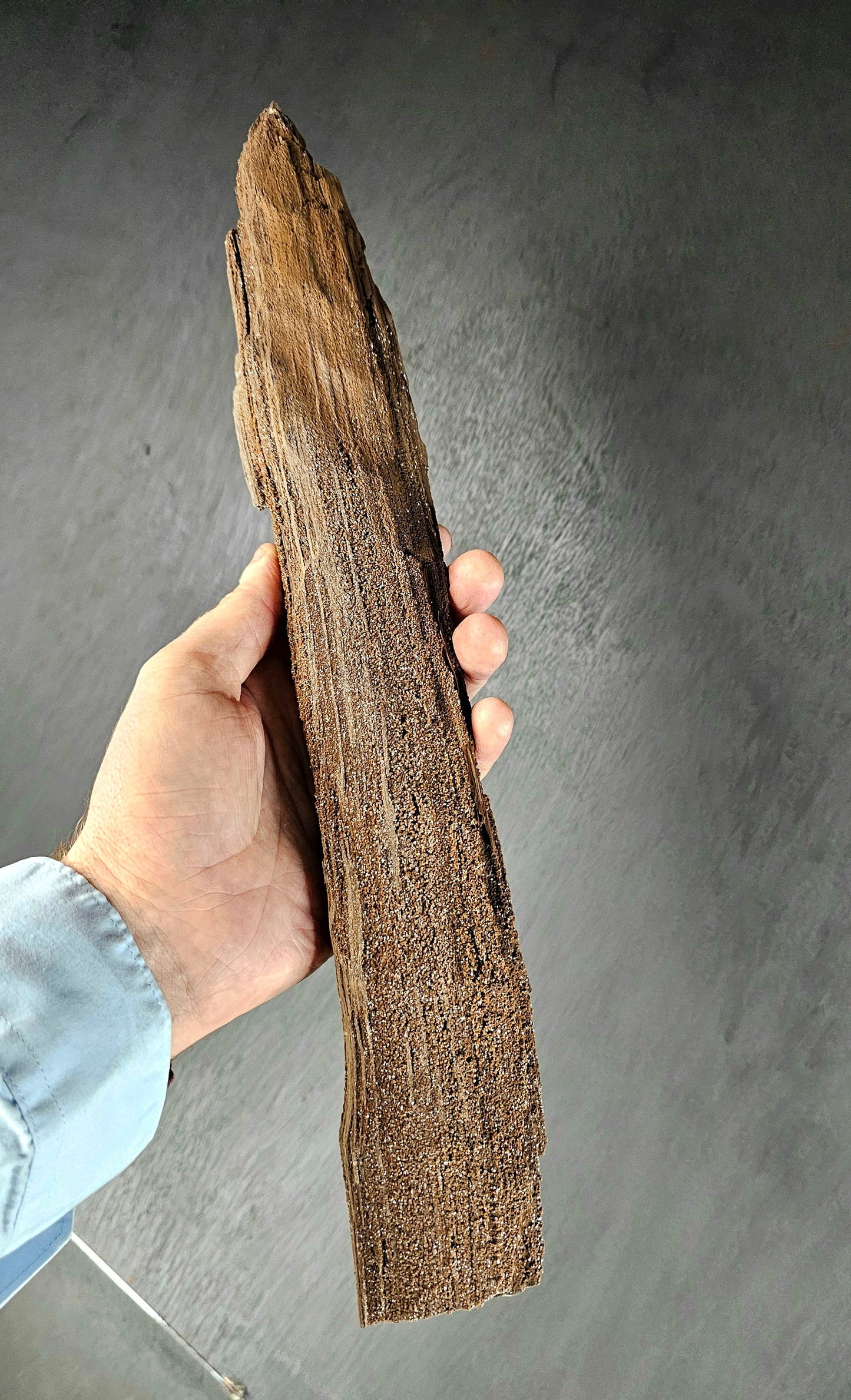 Fossil Wood Quartz Crystal Druze Rare Petrified Wood Germany (#7)