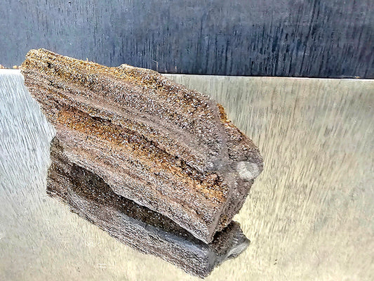 Fossil Wood Quartz Crystal Druze Rare Petrified Wood Germany (#2)