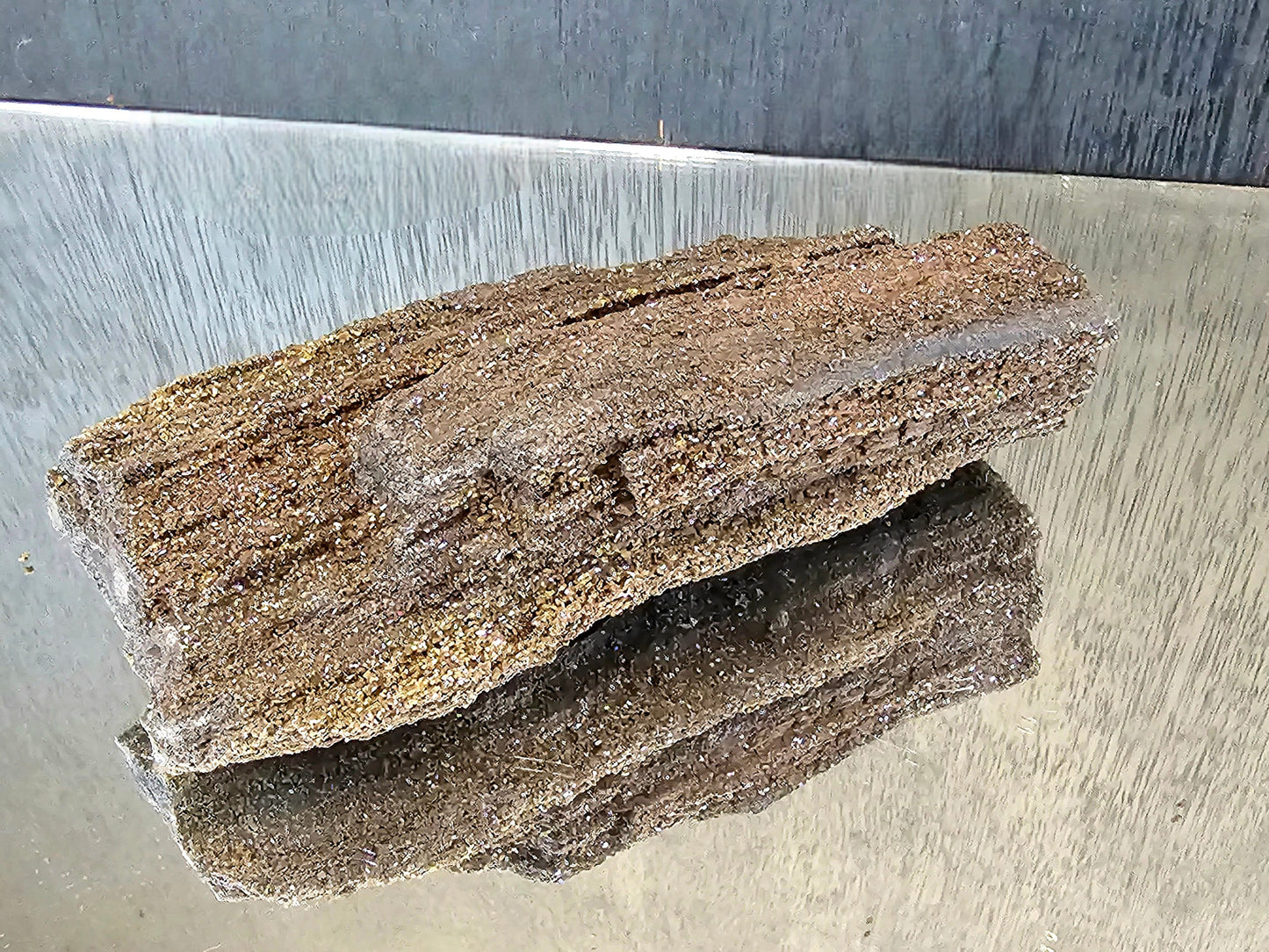 Fossil Wood Quartz Crystal Druze Rare Petrified Wood Germany (#2)