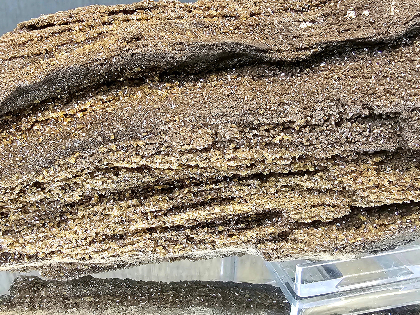 Fossil Wood Quartz Crystal Druze Rare Petrified Wood Germany (#2)