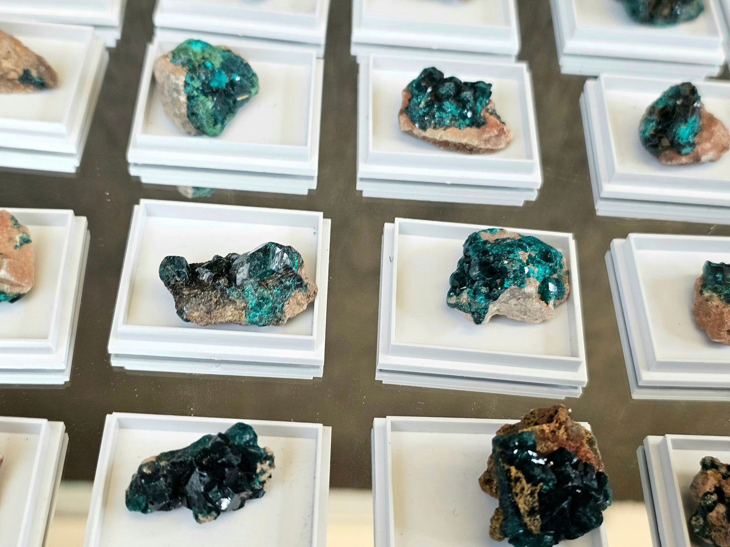 Small Dioptase Crystal In Display Case