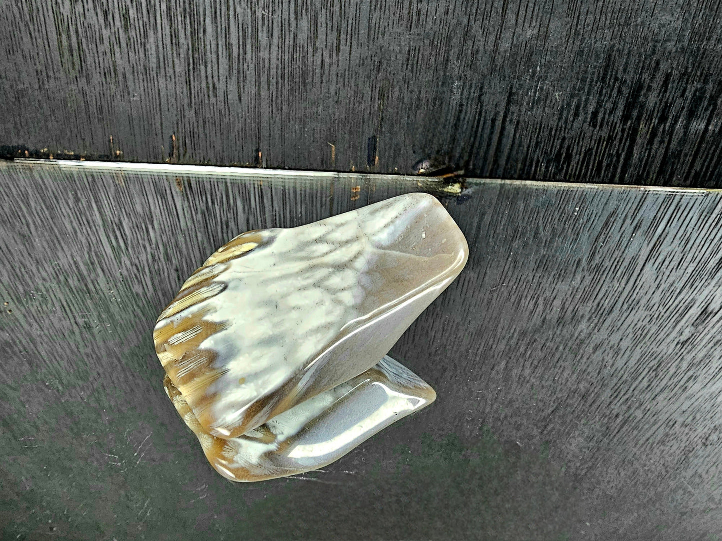 Rare Agate Coral Crystal Fossil - UK   (#11)