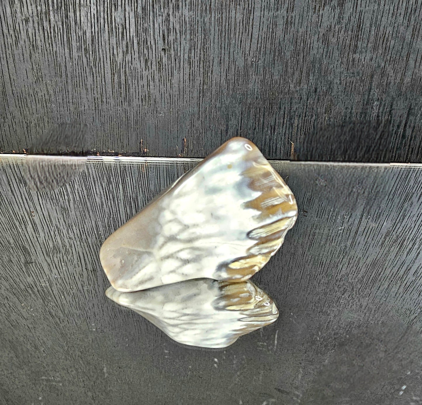 Rare Agate Coral Crystal Fossil - UK   (#11)