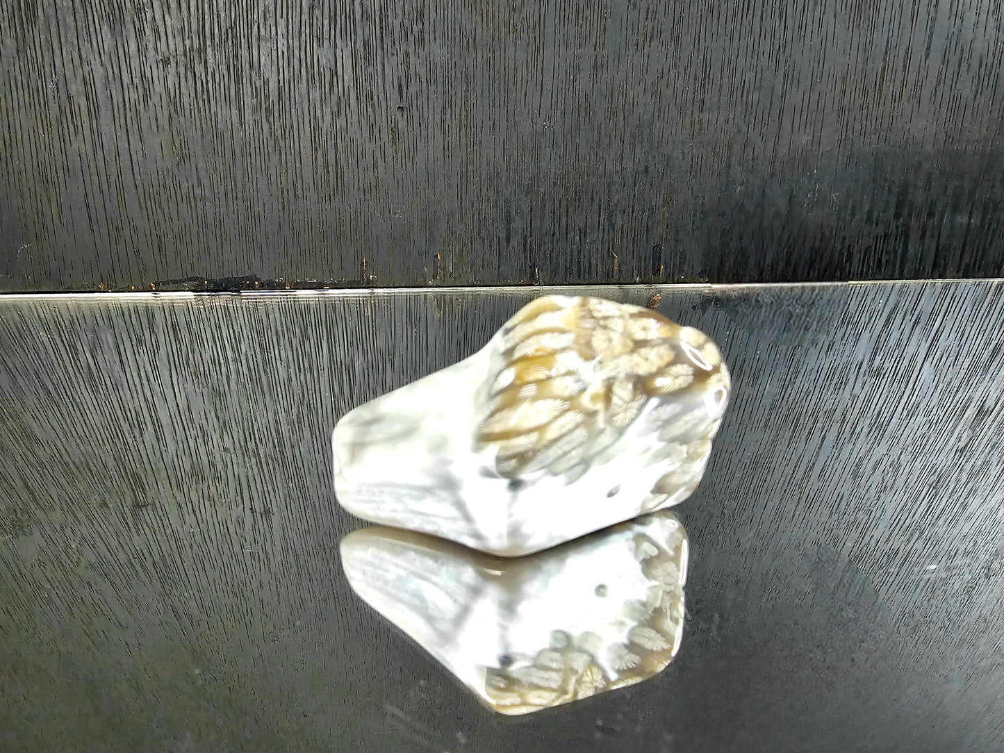 Rare Agate Coral Crystal Fossil - UK   (#11)