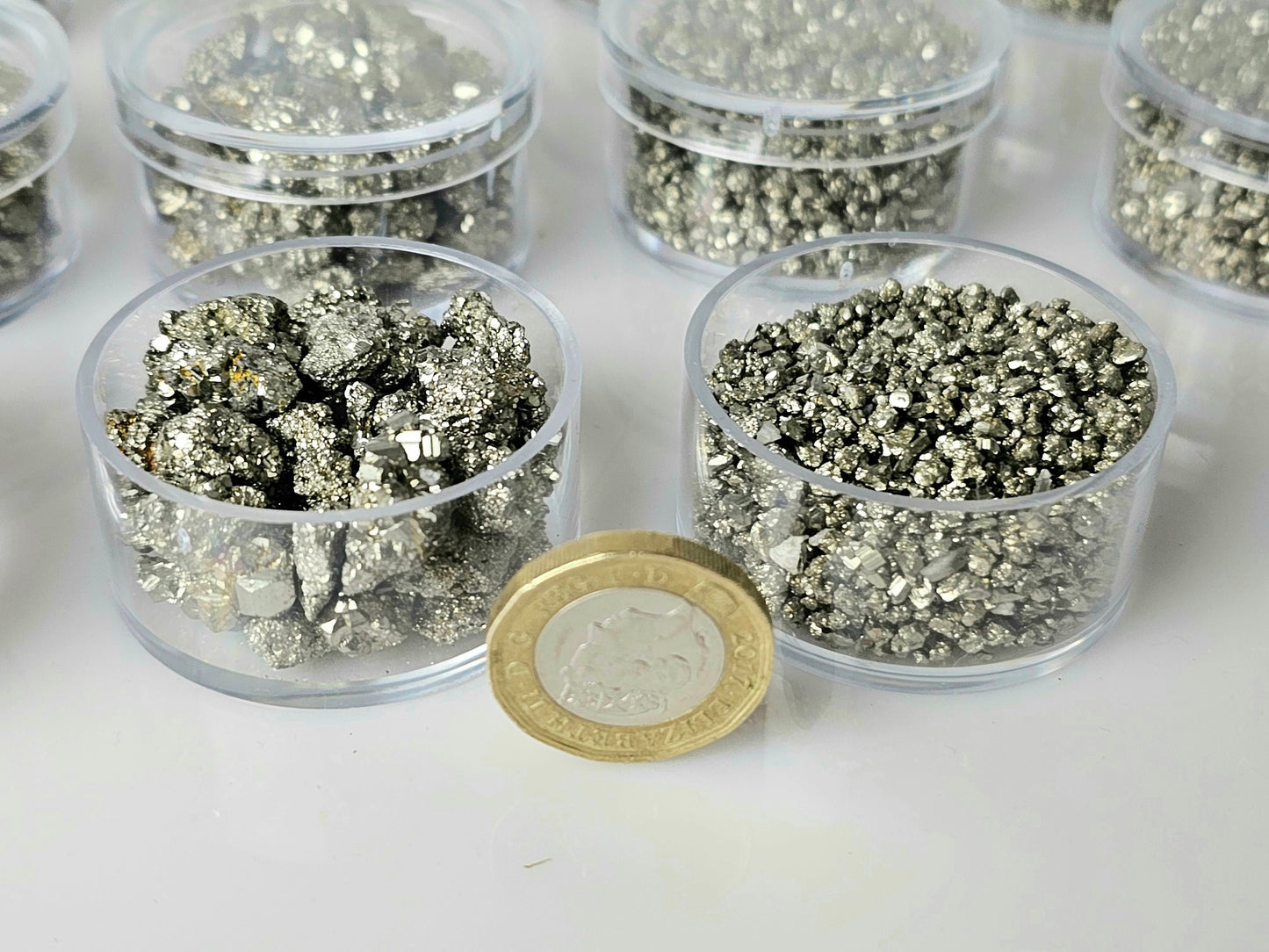 Pyrite crystals in display case