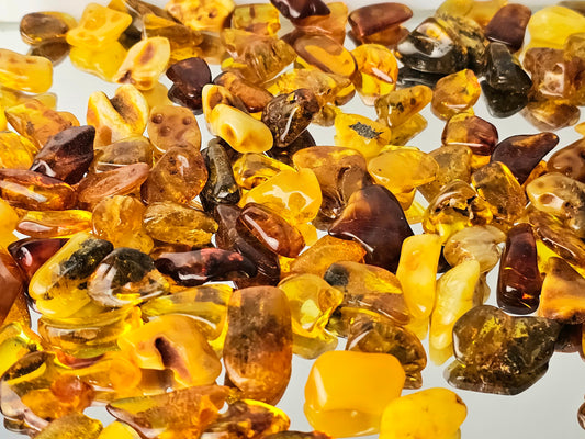 Polished natural baltic amber