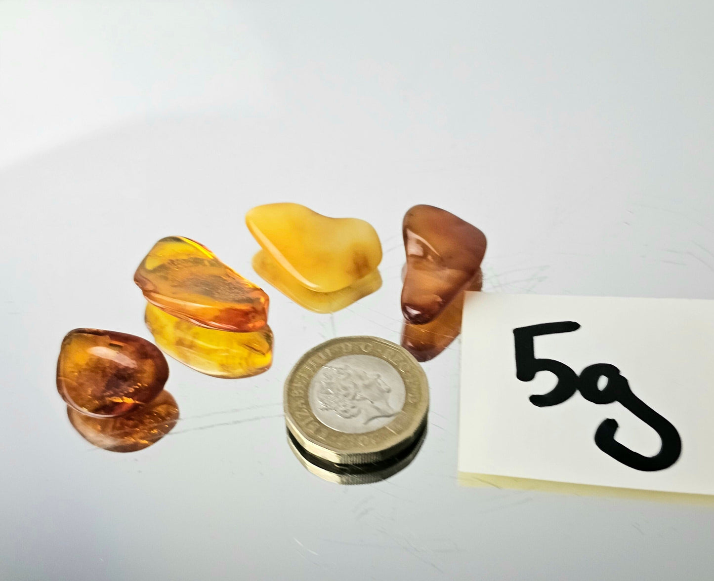Polished natural baltic amber
