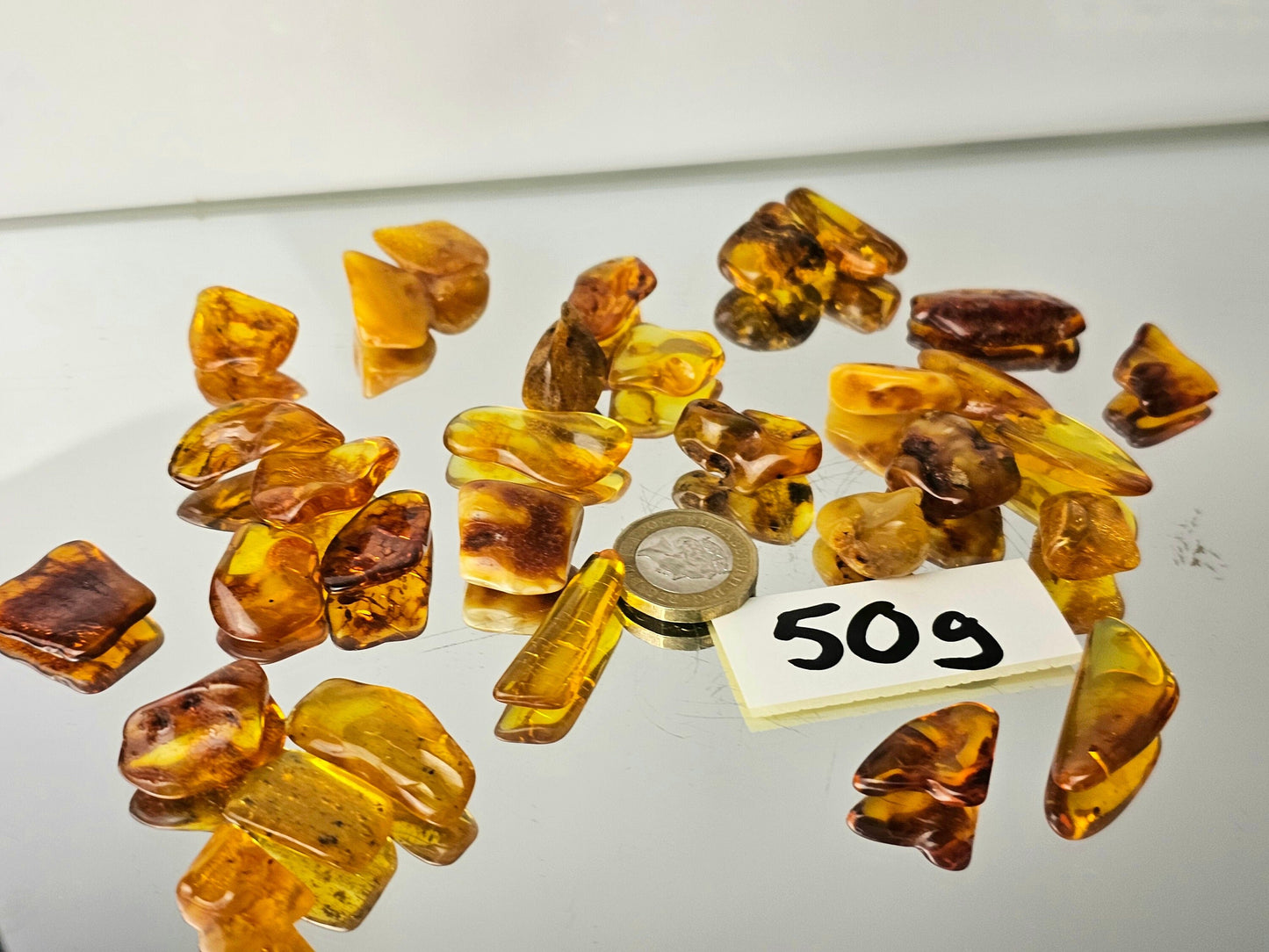 Polished natural baltic amber
