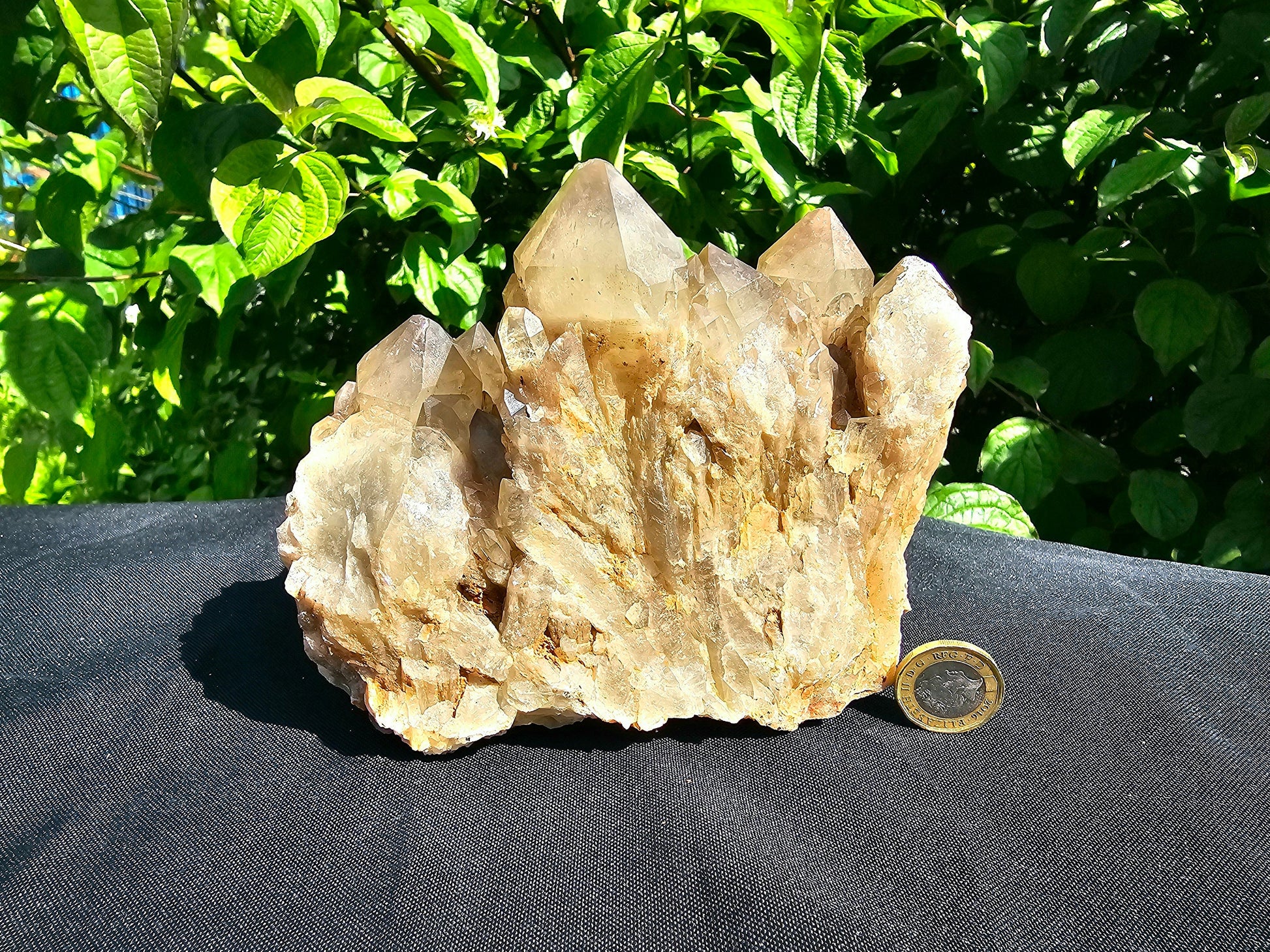 large natural citrine