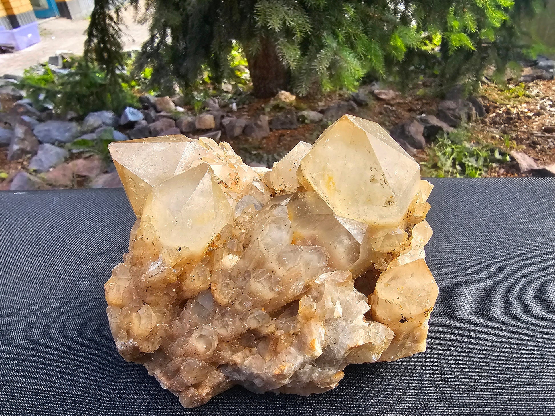 large natural citrine cluster