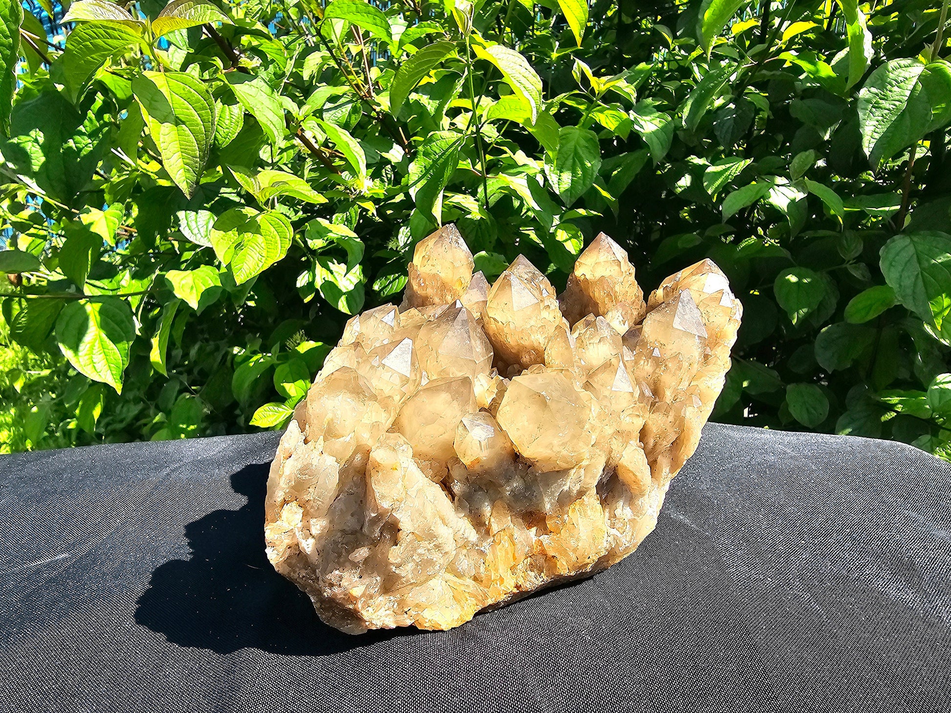 large kundalini natural citrine